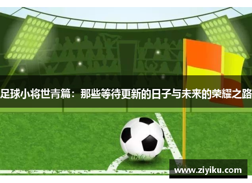 足球小将世青篇：那些等待更新的日子与未来的荣耀之路